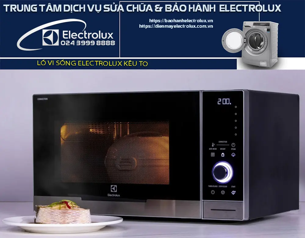 Lò vi sóng Electrolux kêu to