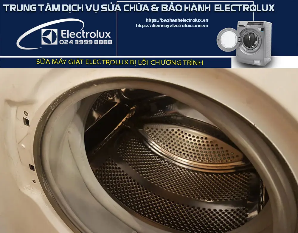 Máy giặt Electrolux bị lỗi chương trình