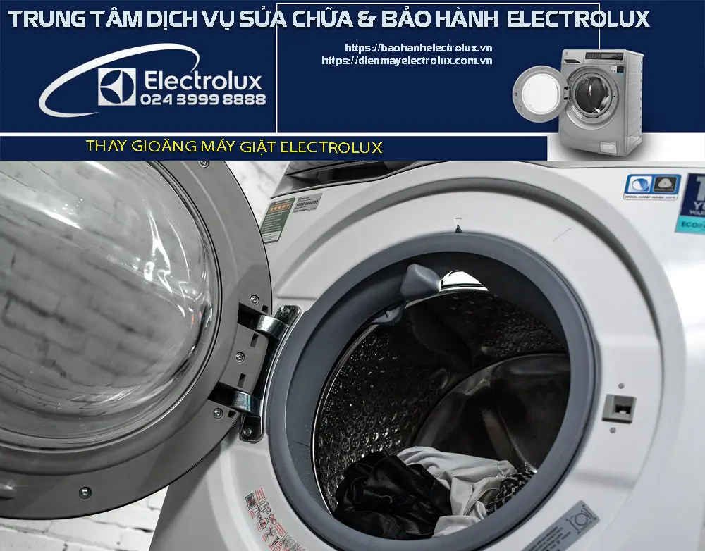 Thay gioăng máy giặt Electrolux